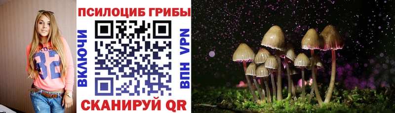 OMG сайт Белокуриха Псилоцибиновые грибы Psilocybe